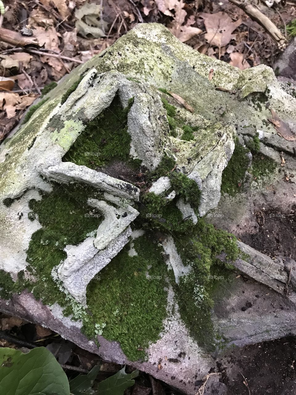 Waffle rock found in the forest. 