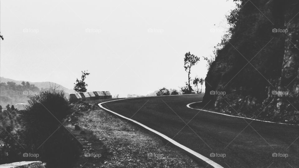 Road, Transportation System, Vehicle, Street, Tree