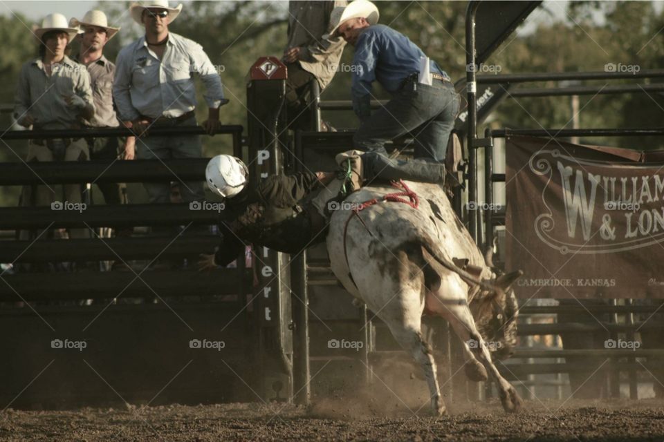 Cowboy bull riding 