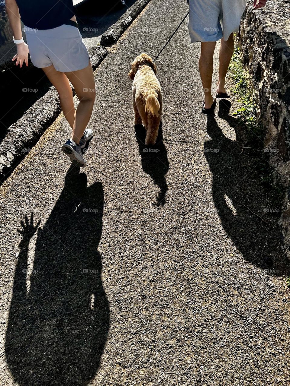 A man and a woman, both wearing grey shorts and black t shirts, walking a curly brown haired dog on a leash up a sidewalk