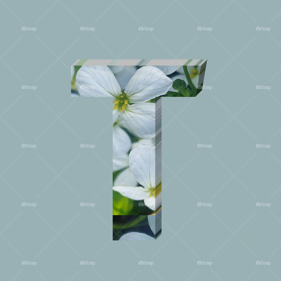 T alphabet 3d rendering of vertical white flowers alphabet