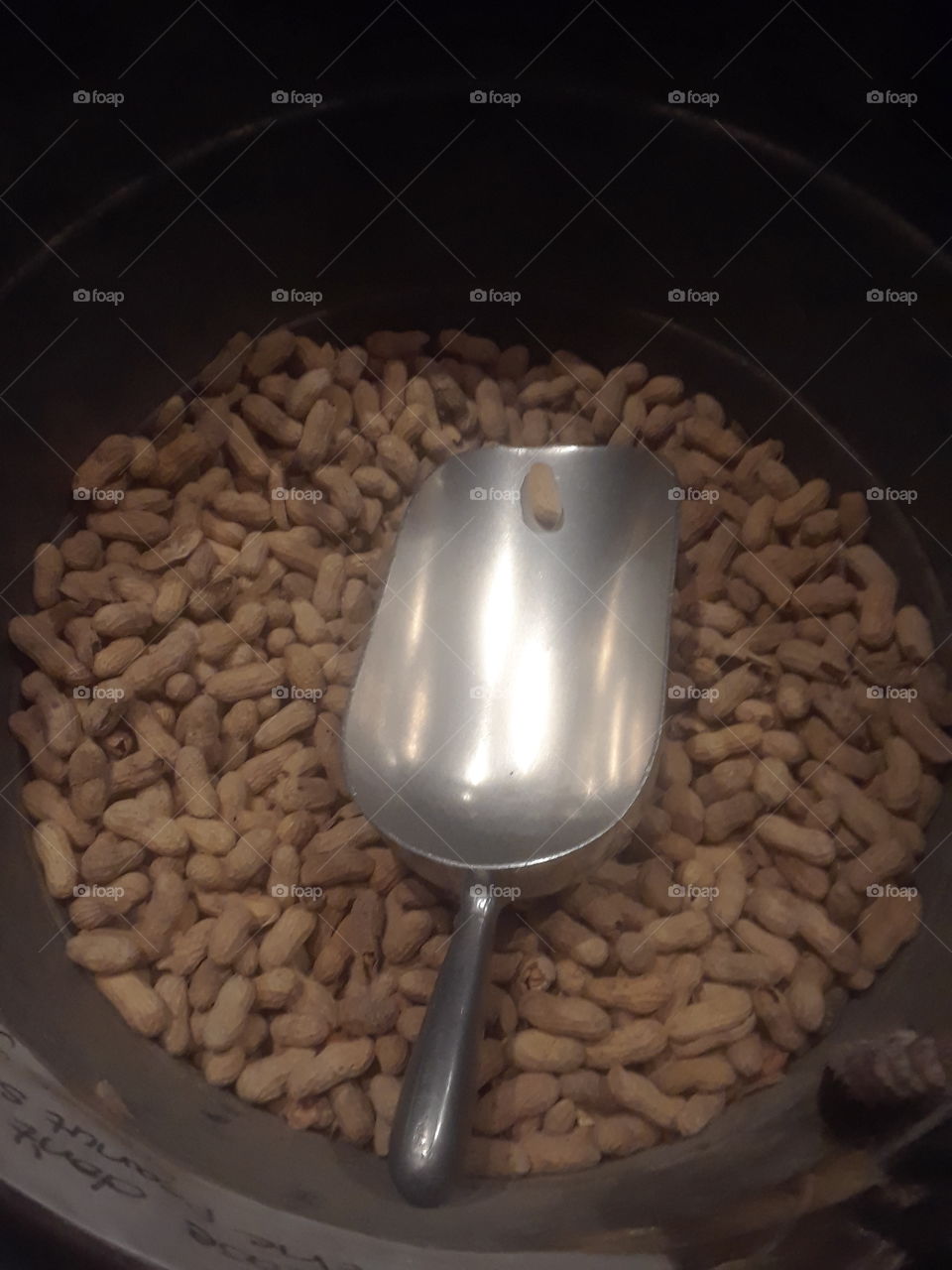 Shelled Peanuts in Barrel with Scoop
