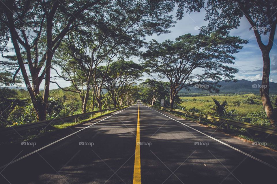 Road, Tree, No Person, Landscape, Travel