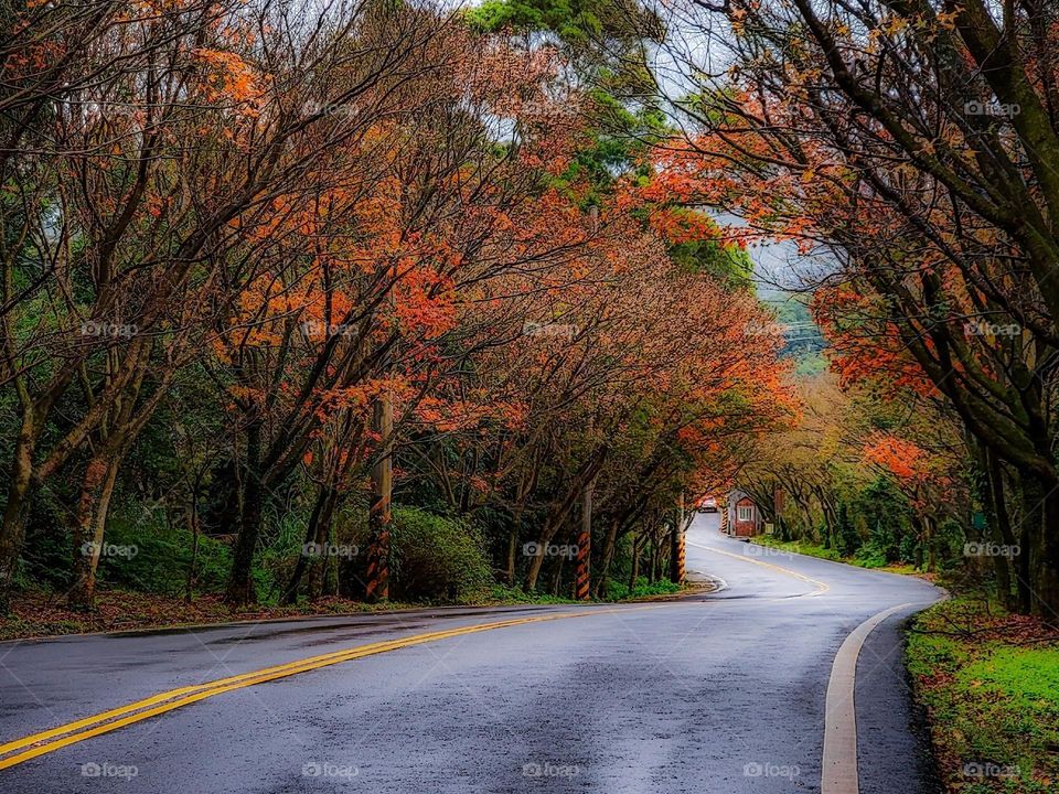 Beautiful and quiet road scenery