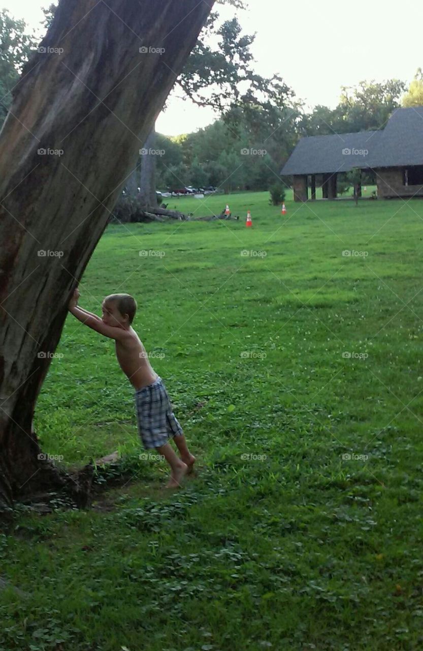 Super Kid    Holding up a huge Tree