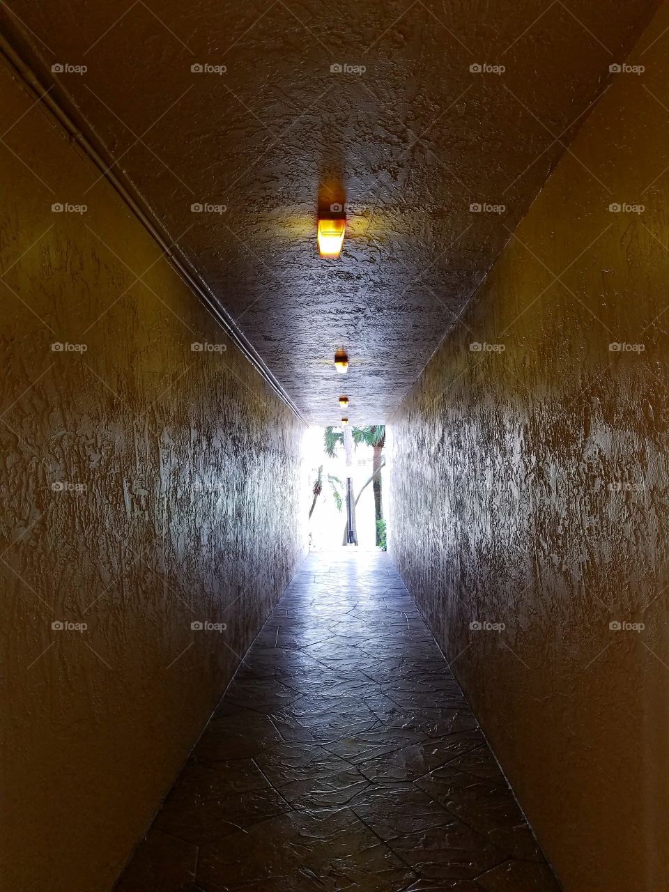 Looking Down the Breezeway