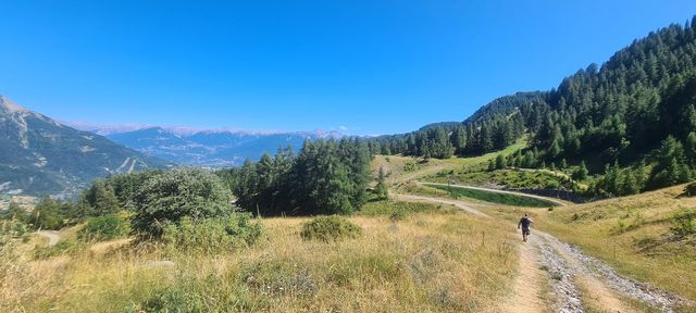 vue lac montagne