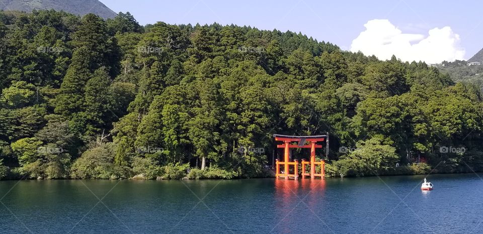 I had taken this beautiful shot in Ashinoko in Hakone. The reddish Torii is accentuated by the green forest from behind and the blue river from below.