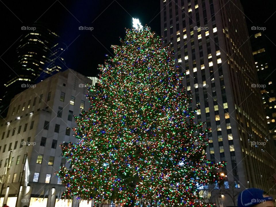 Rockefeller tree 