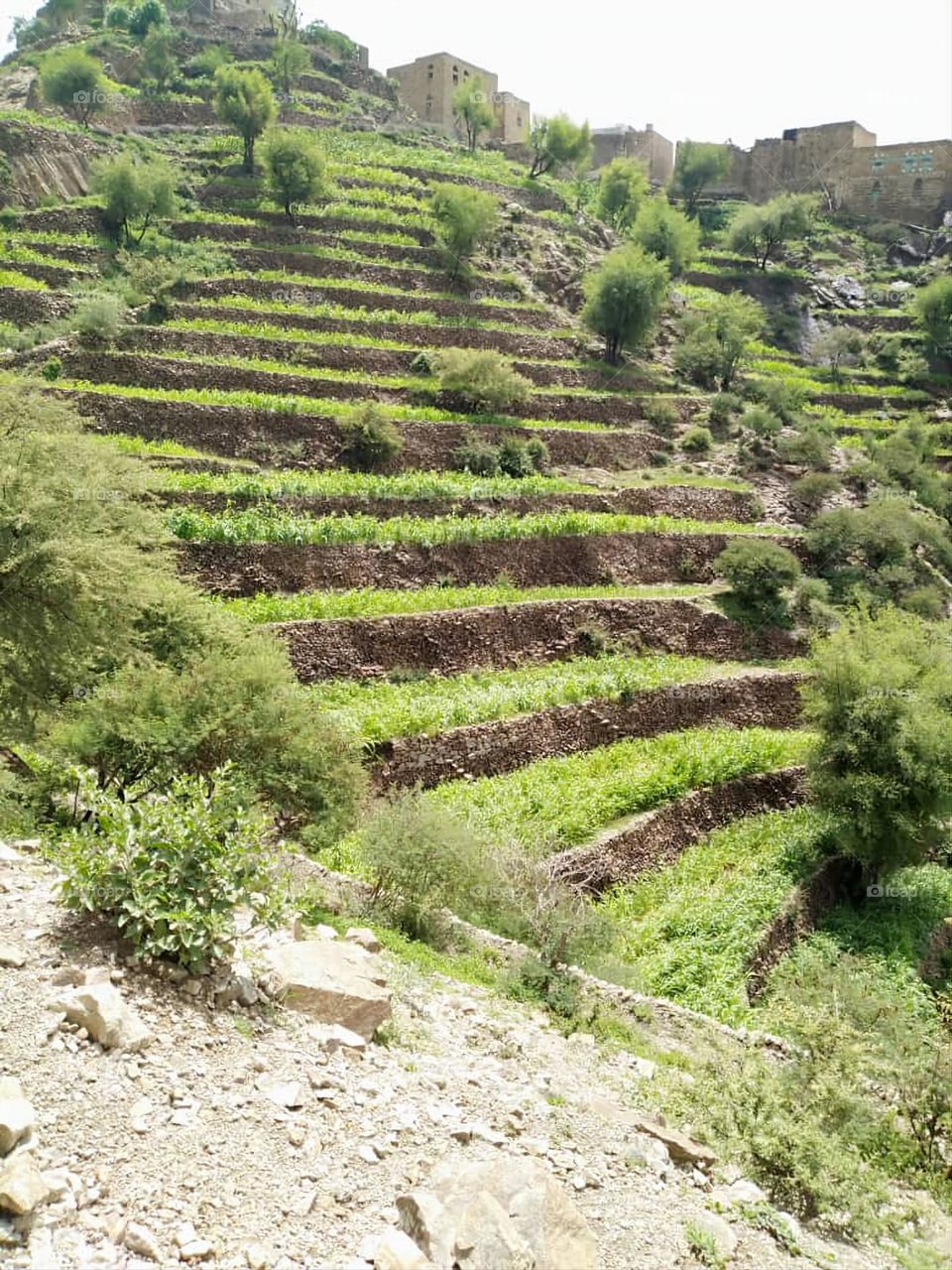 Glory be to God, the magnificent and picturesque view and the natural green trees are a view that is nothing more wonderful than it