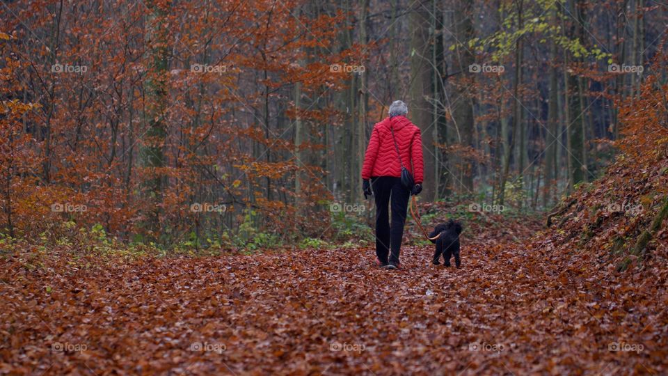 Woman Walking Her Dog Through Forest