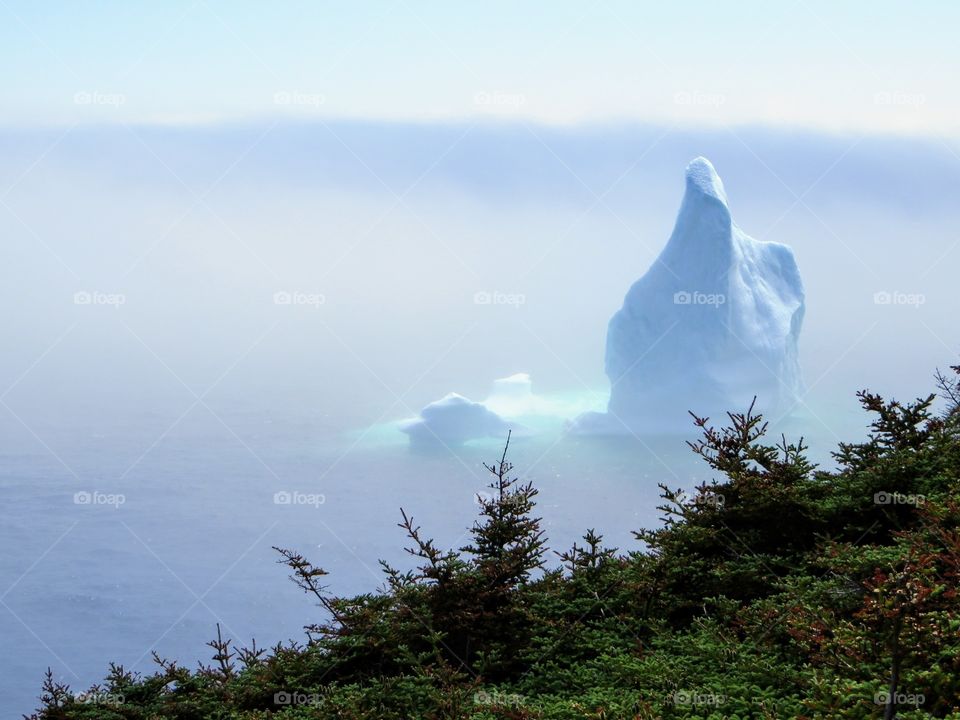 iceberg floating along the Skerwink Trail beside the rugged coast of Newfoundland
