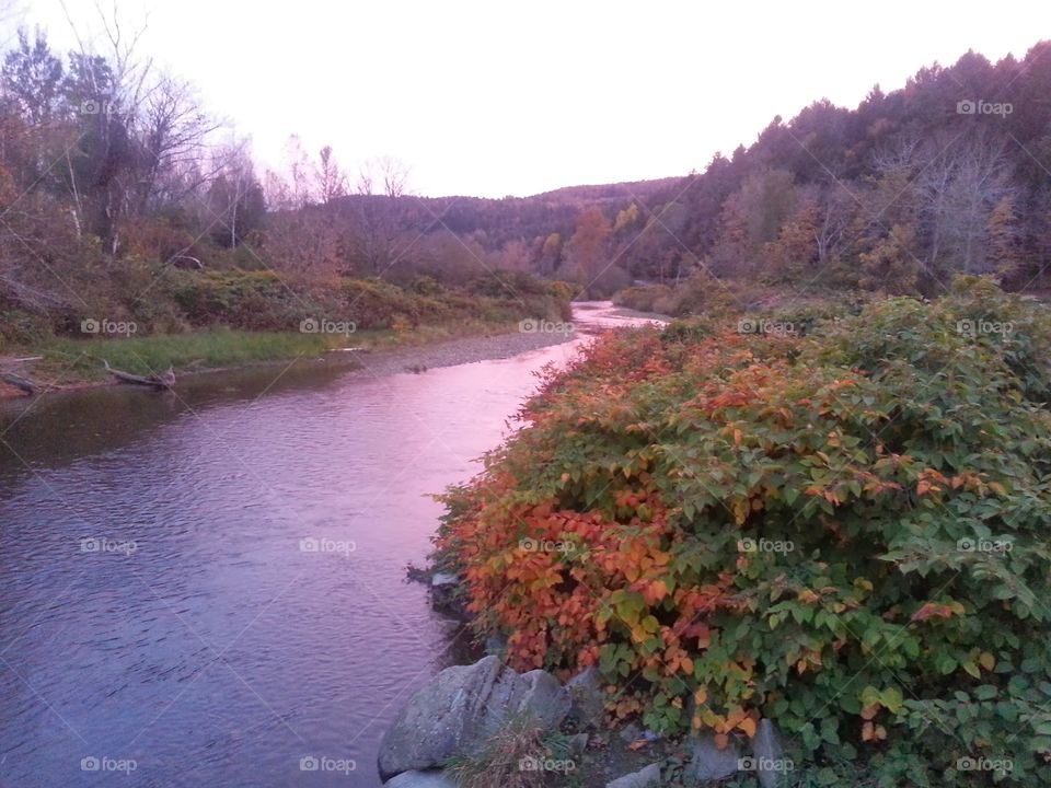 Dog River. Dog River in Northfield VT