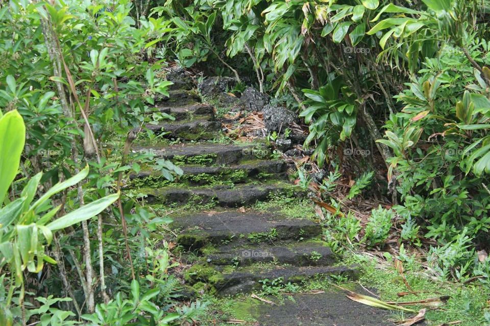 stairs in hana