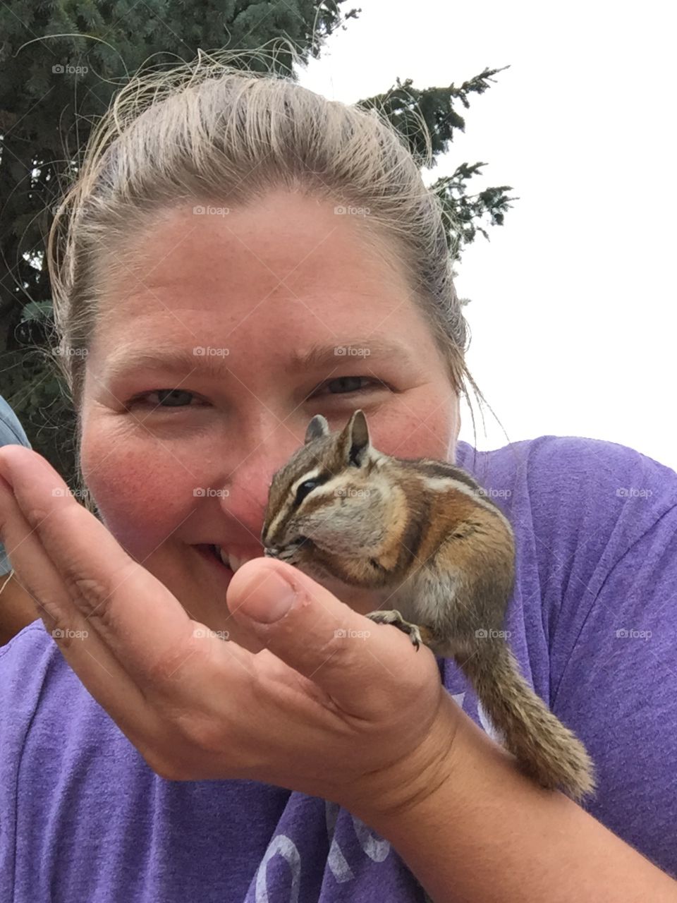 Chipmunk friend . St Elmo, Colorado