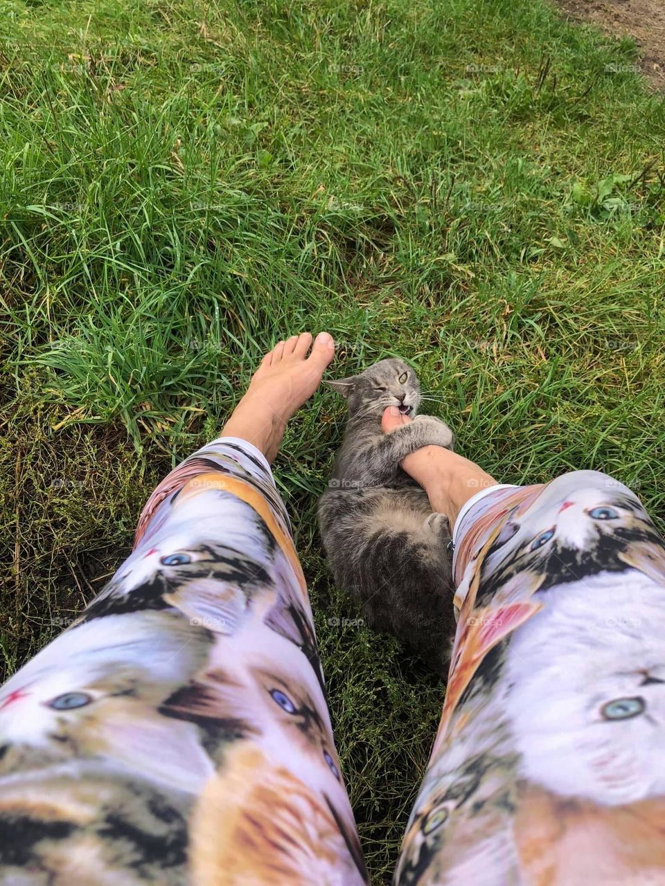 Ti-t’oeil bite my toe