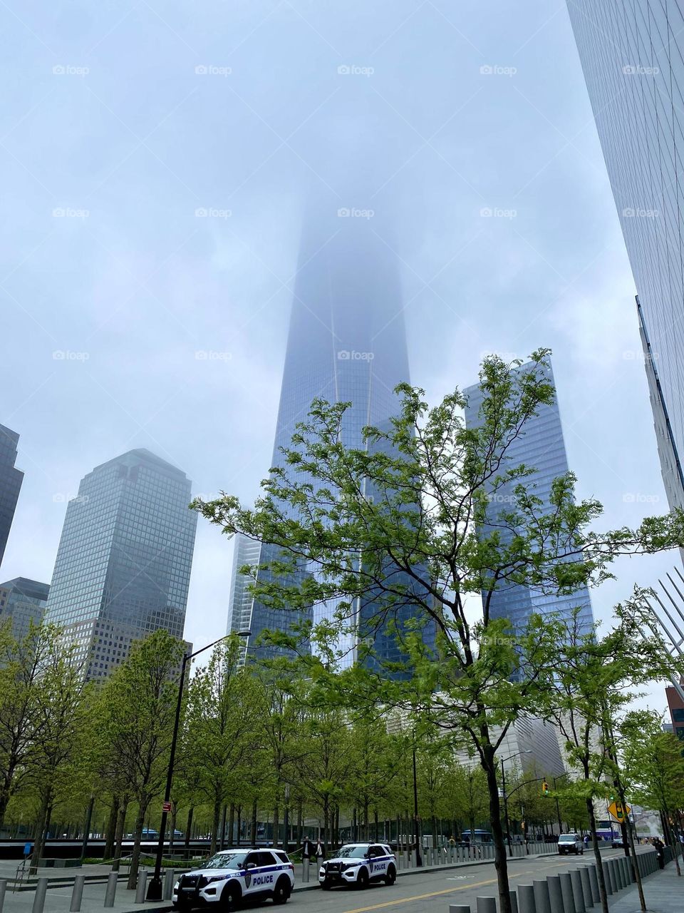 New York City skyscrapers in fog 