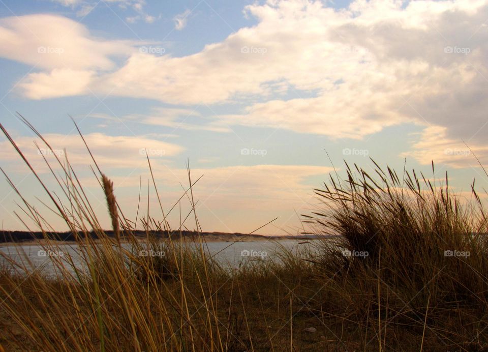 Sunset view of grass and beach