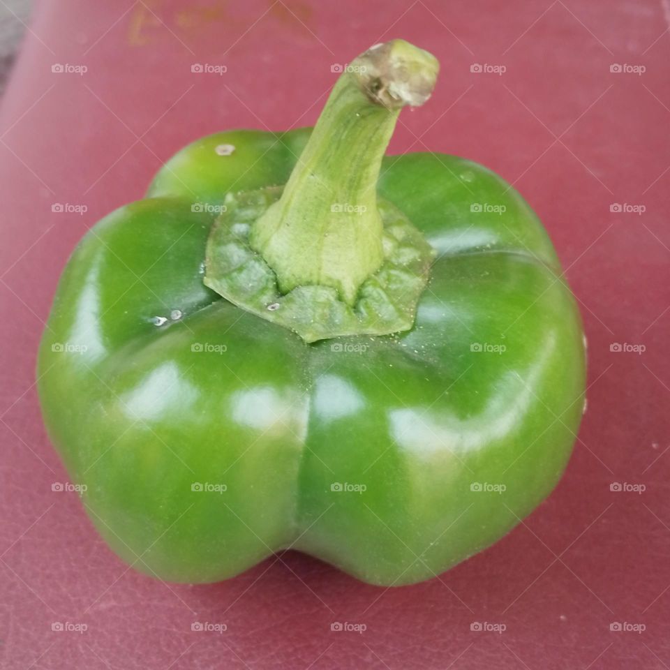 Capsicum