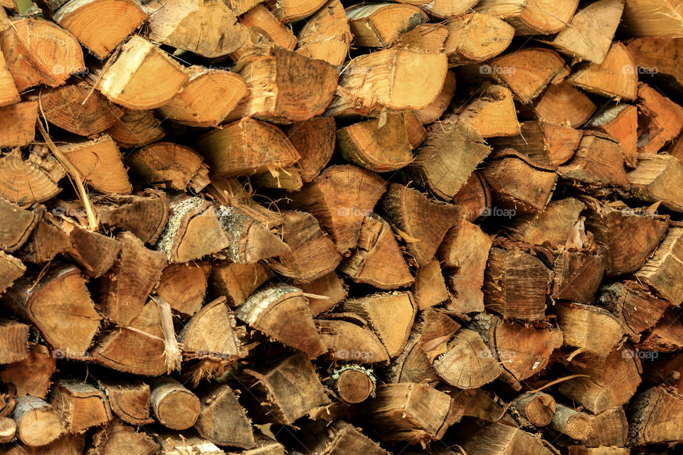 Wood Pile. Even though we live in Florida, we cut some wood for chili few days that may hit us in Winter. 