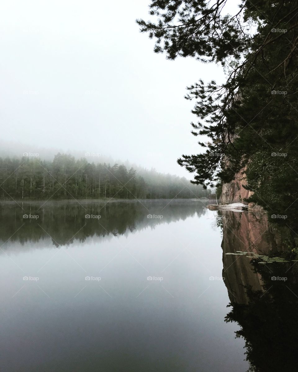 A lakeview on a foggy morning 