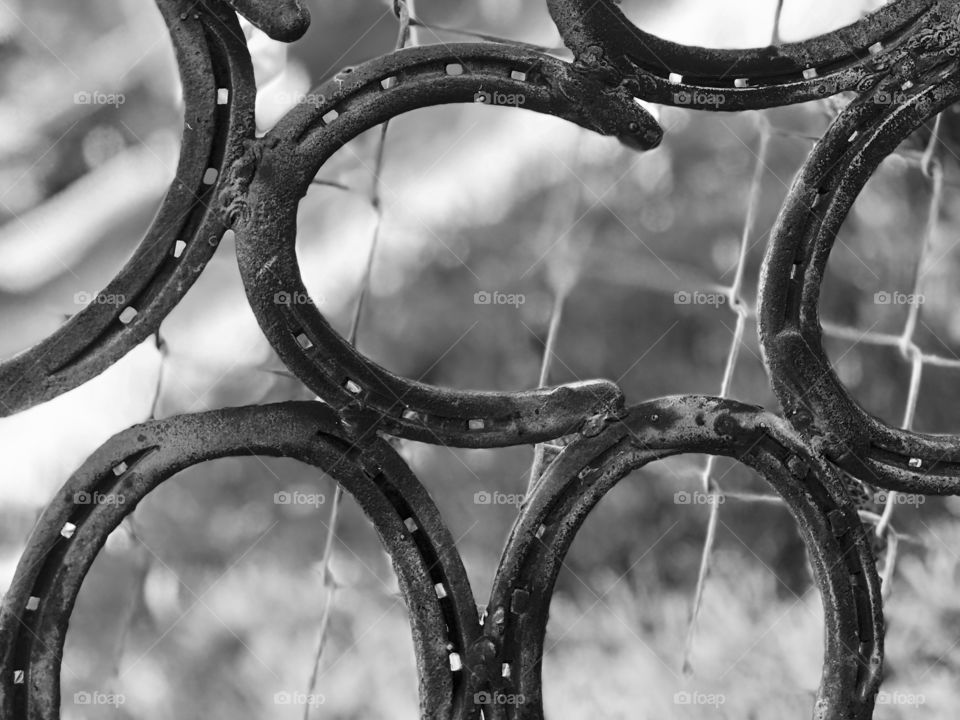 Horseshoe collection 