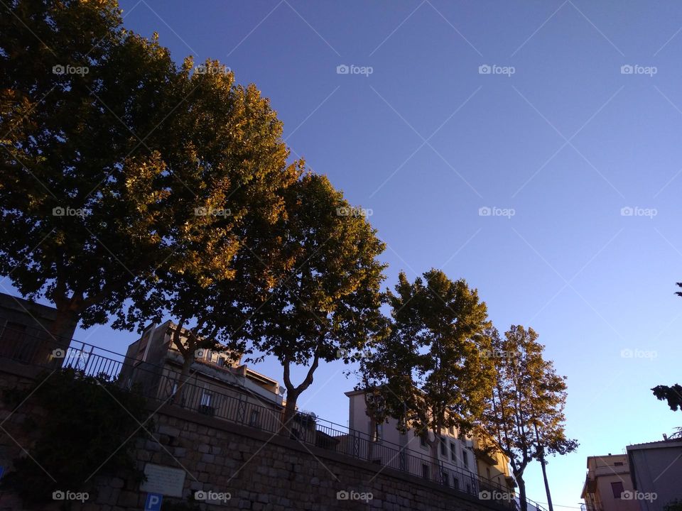 Editors' Choice: Photo of the Week