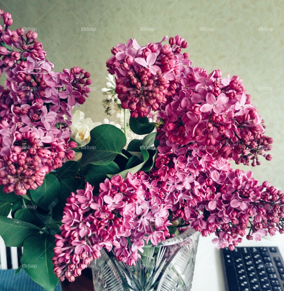 lilac in the vase. beautiful flowers