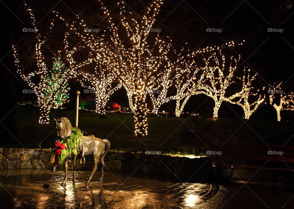 Horse carousel statue with Christmas lights on trees backdrop