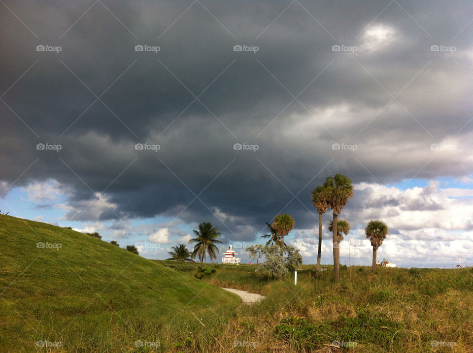 miami beach sky palm park by daflux