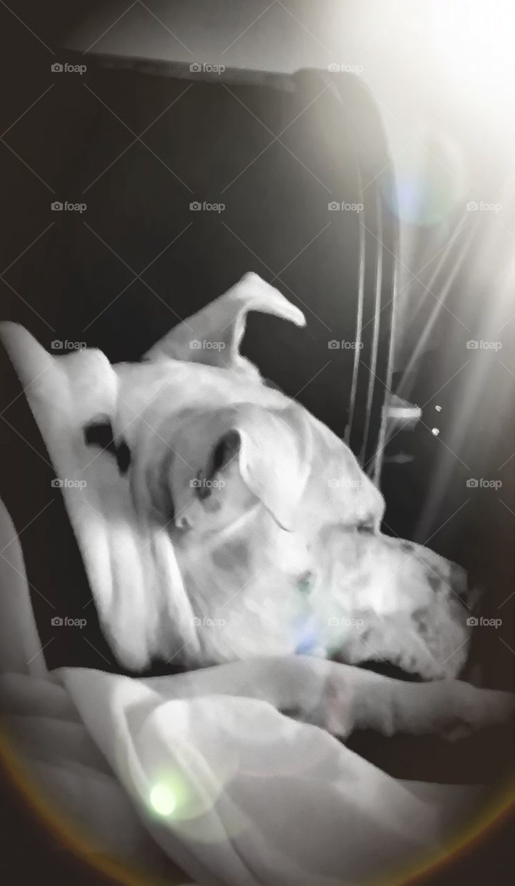 even when she sleeps she has "one ear open" LOL 🤣