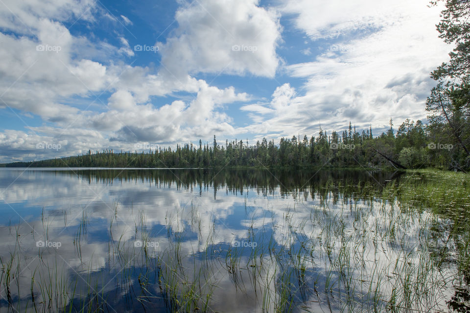 Reflection of trees in lake