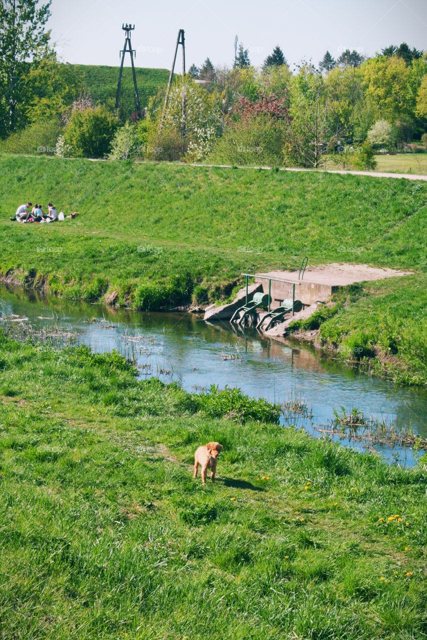 The perfect place to go for a walk - don't forget to take your dog with you!