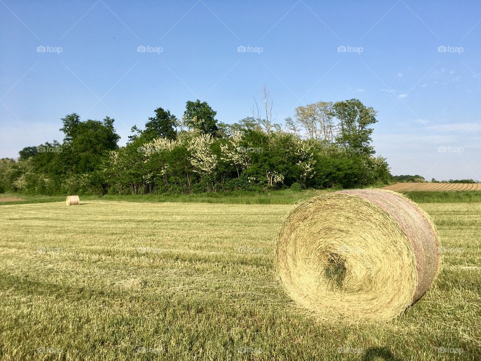 hay harvesting in the Como countryside