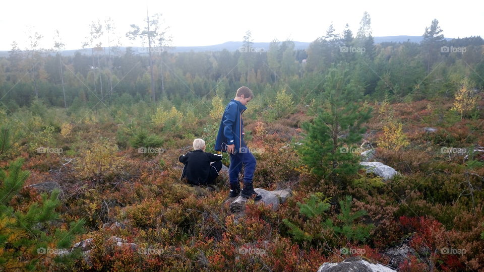 Boys playing fakk forrest in sweden