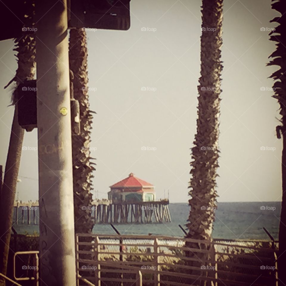 Huntington Beach pier and palm trees 