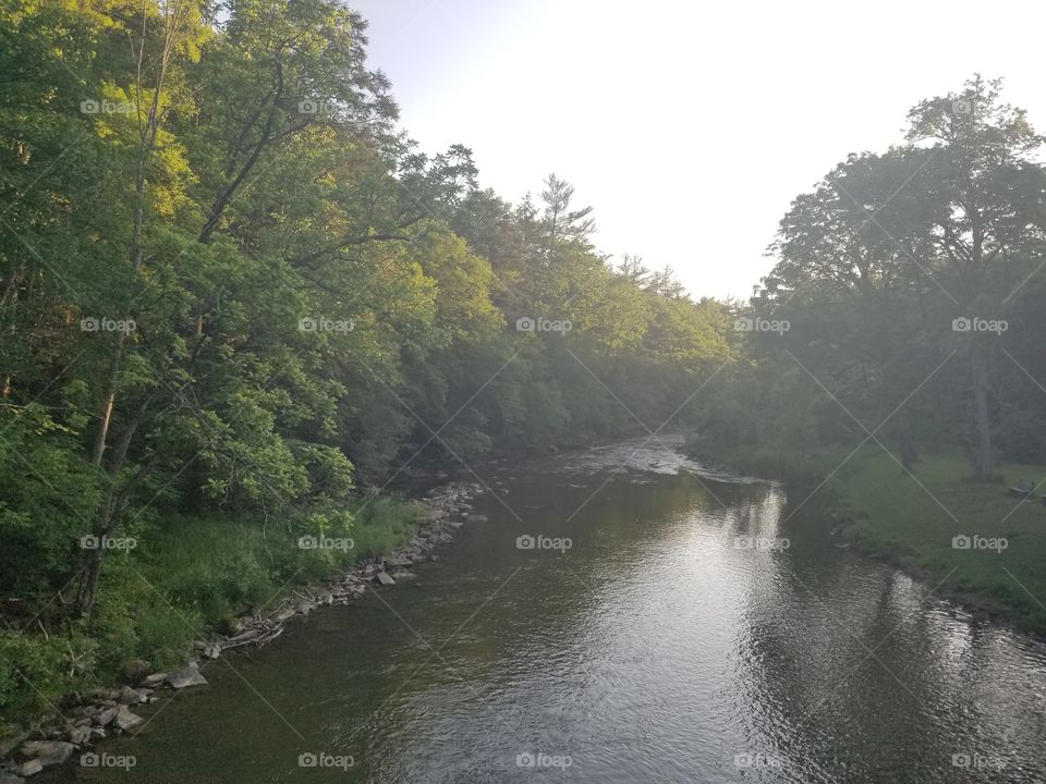 trout stream