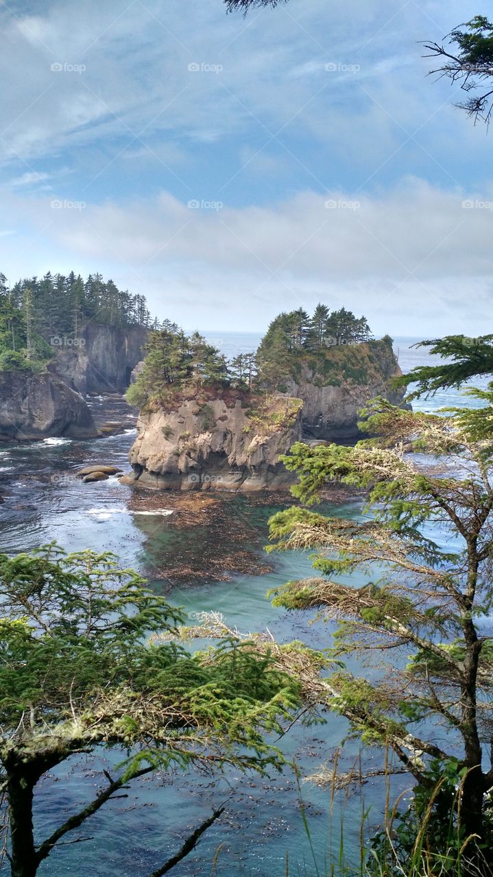 Cape Flattery. Washington, August 2015