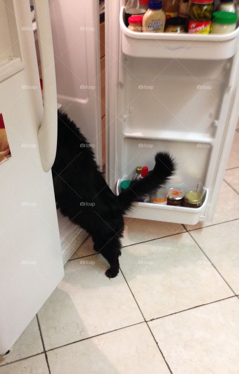 Let's see here, what's for dinner?