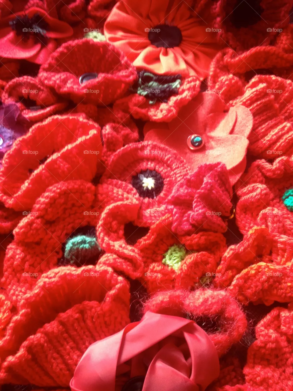 Poppies