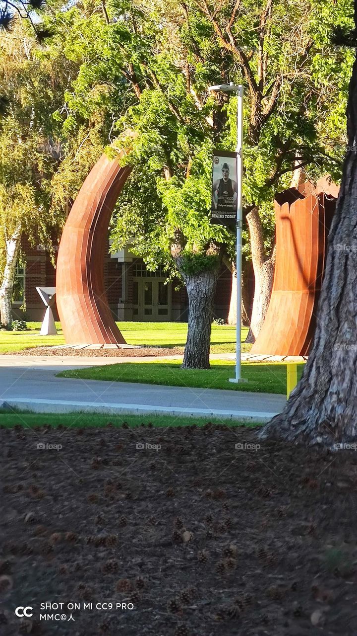 schools and universities series