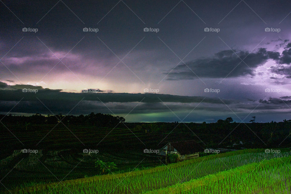 Monster Skyin the rain at green Paddy fields