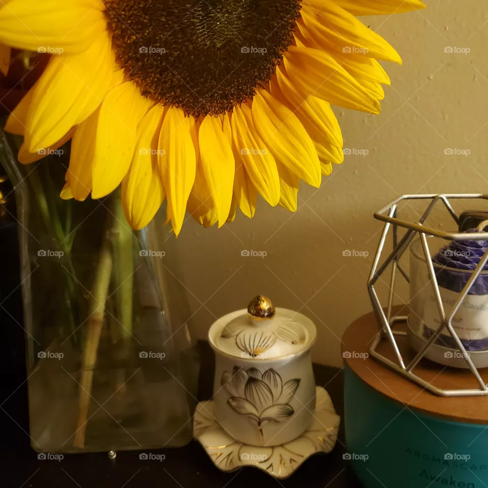 my new addition