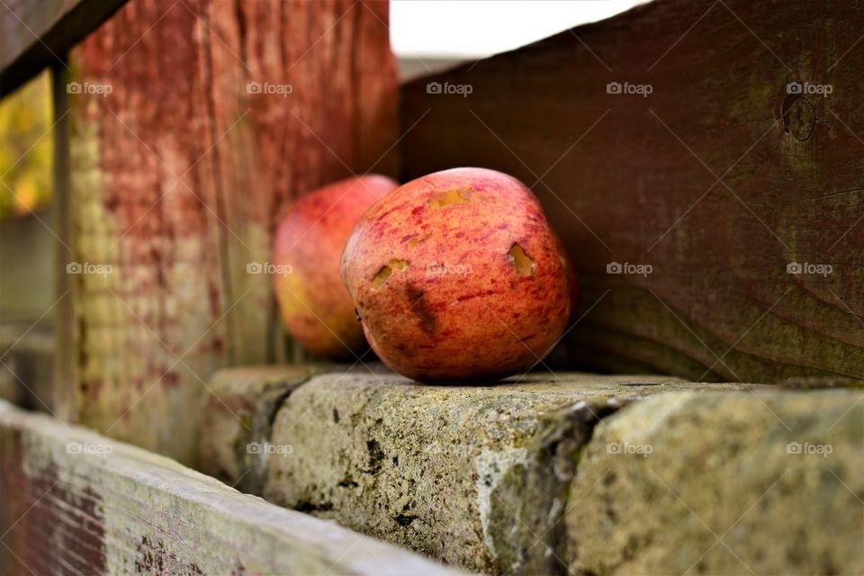 Same apples, different photos 👌