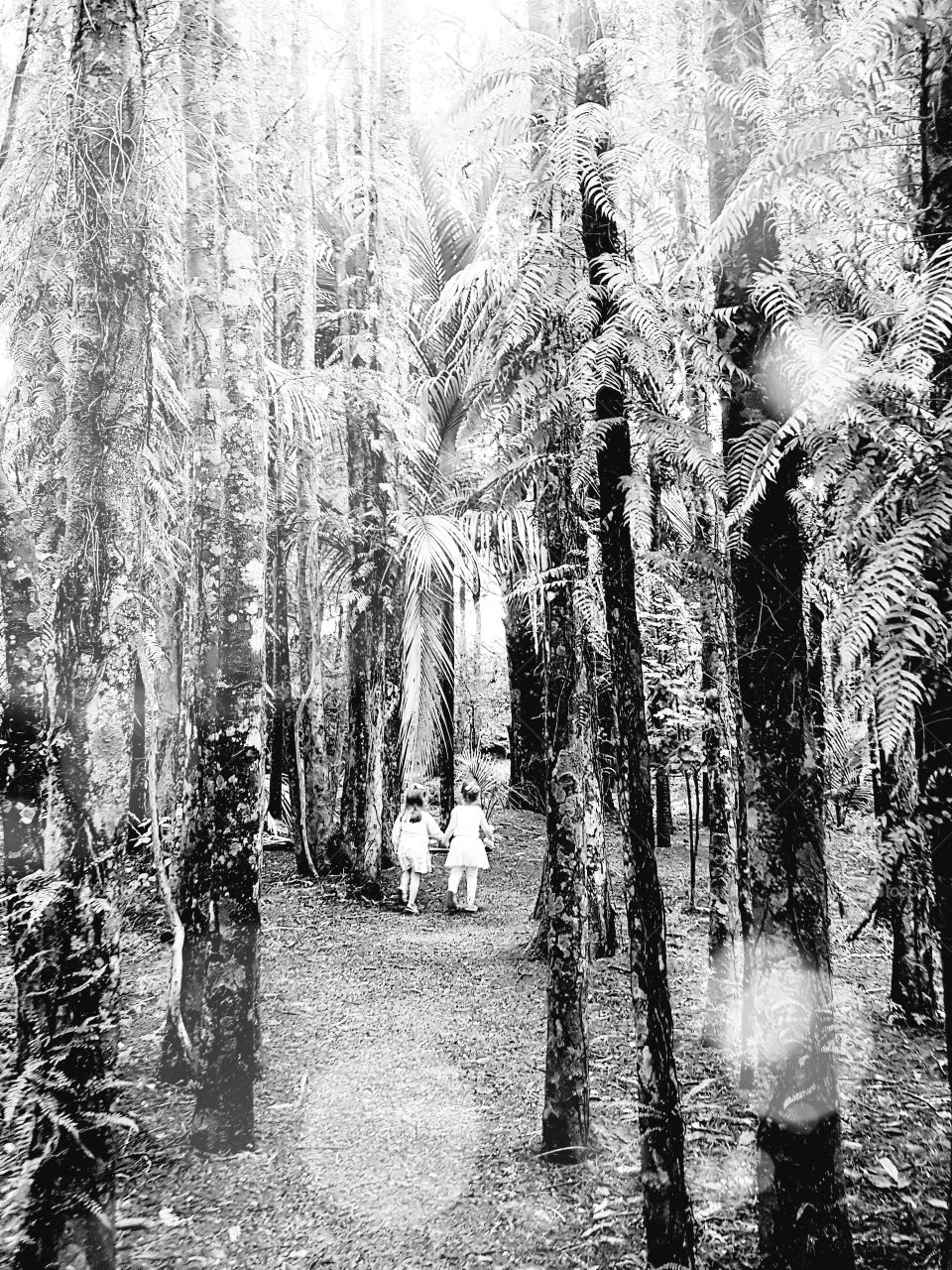 Black and White Friends in the Park