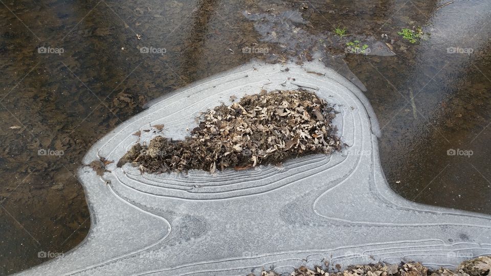 nature's ice designs