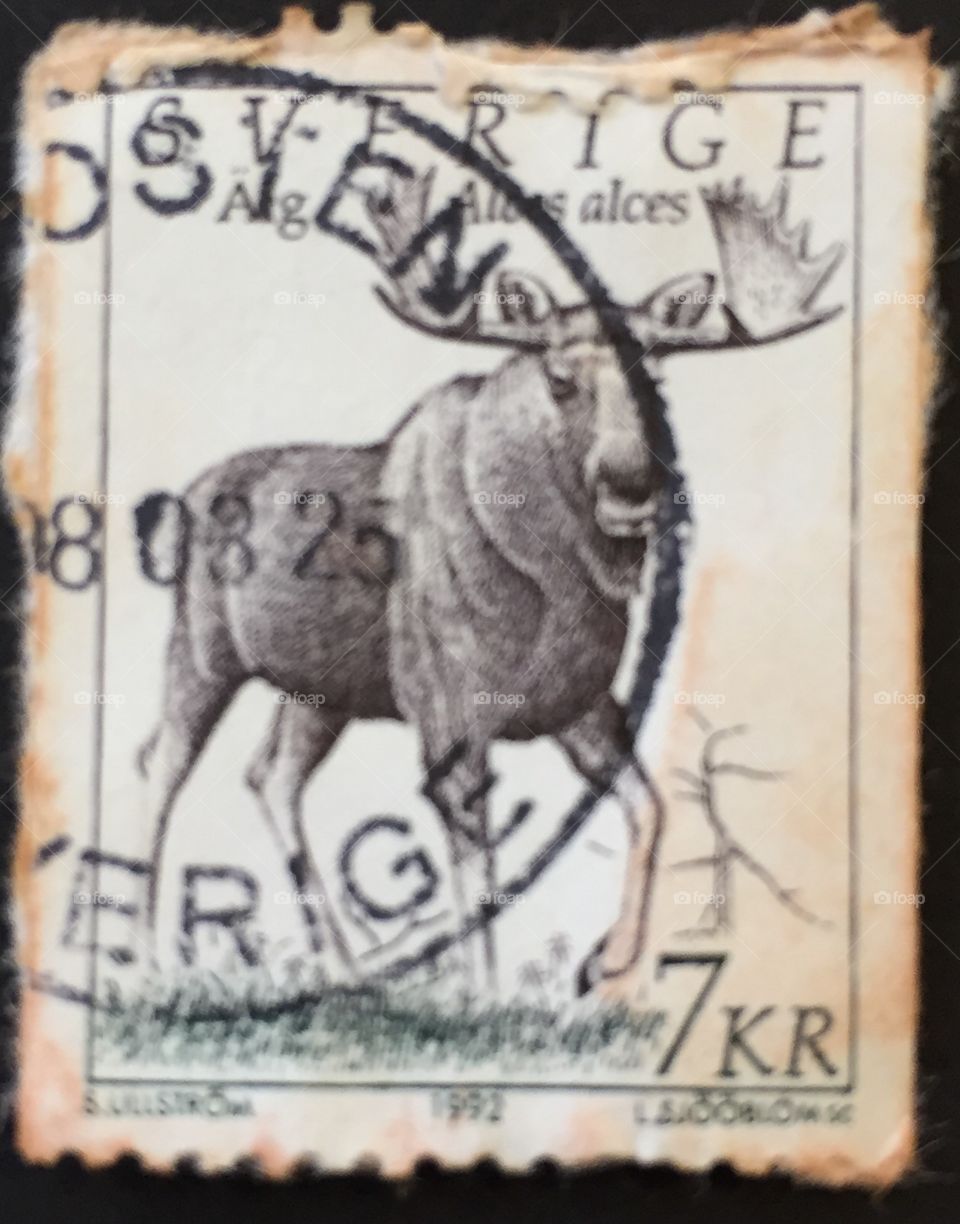 Sweden stamp with moose