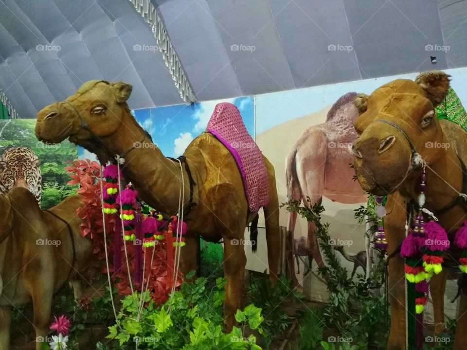 artificial Camel