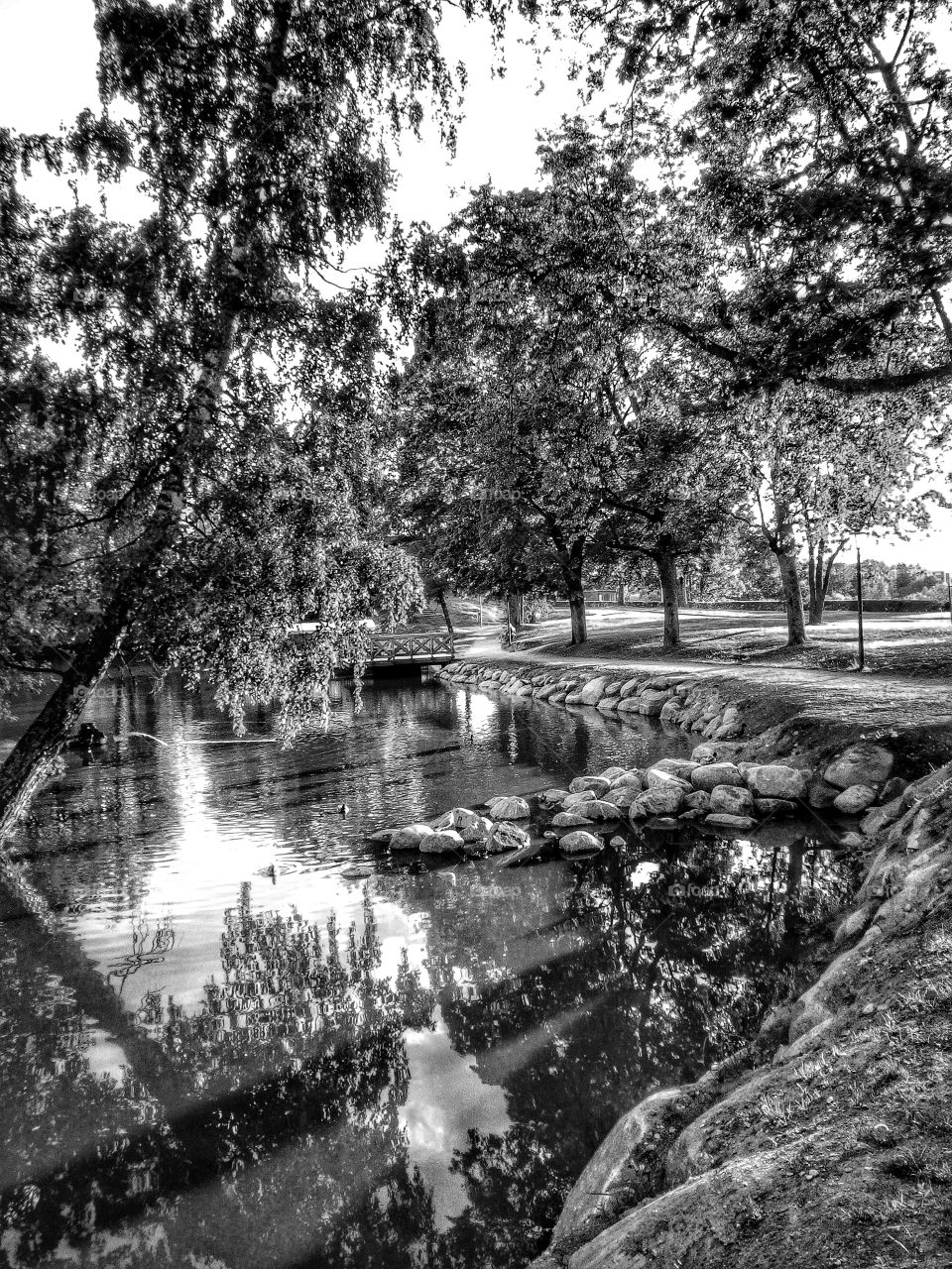 "The most colorful thing in the world is black and white, it contains all colors and at the same time excludes all."
~ Vikrmn, 10 Alone