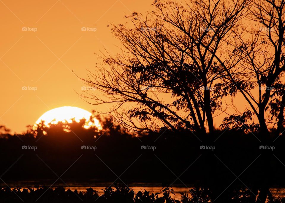 Serra Do Amolar - Pantanal Sul